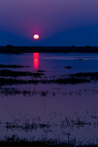 160 Okavango Delta.jpg